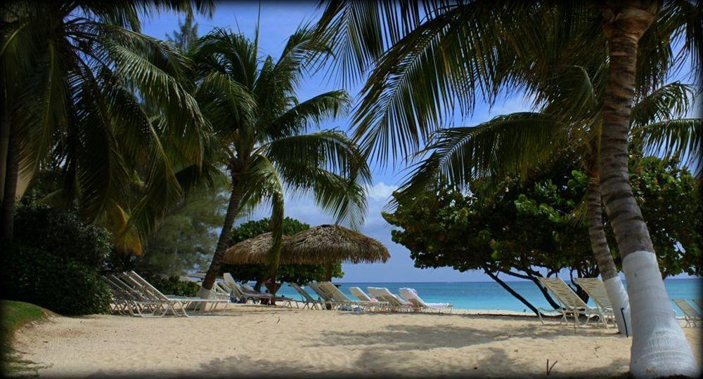 Dog City Caribbean Club Boutique Hotel, Grand Cayman מראה חיצוני תמונה
