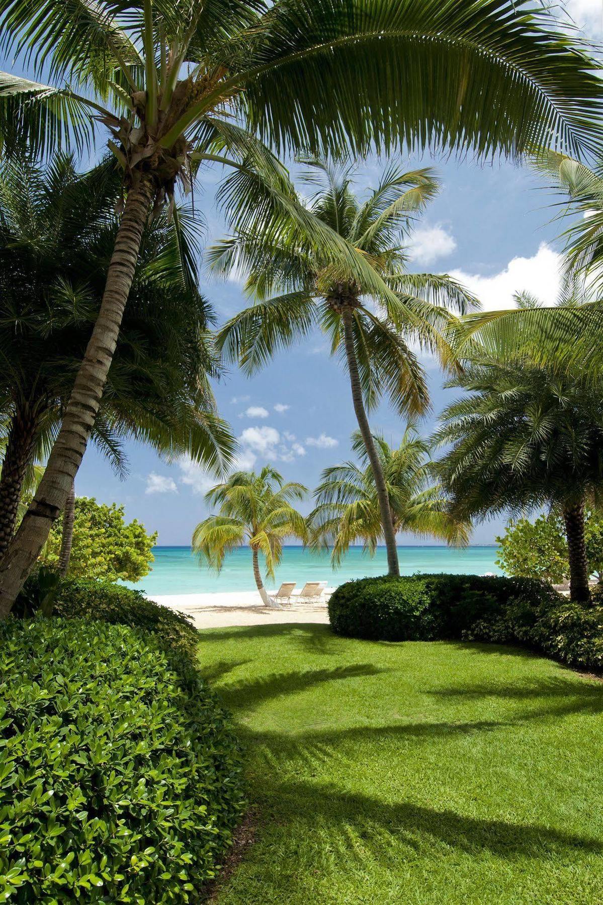 Dog City Caribbean Club Boutique Hotel, Grand Cayman מראה חיצוני תמונה